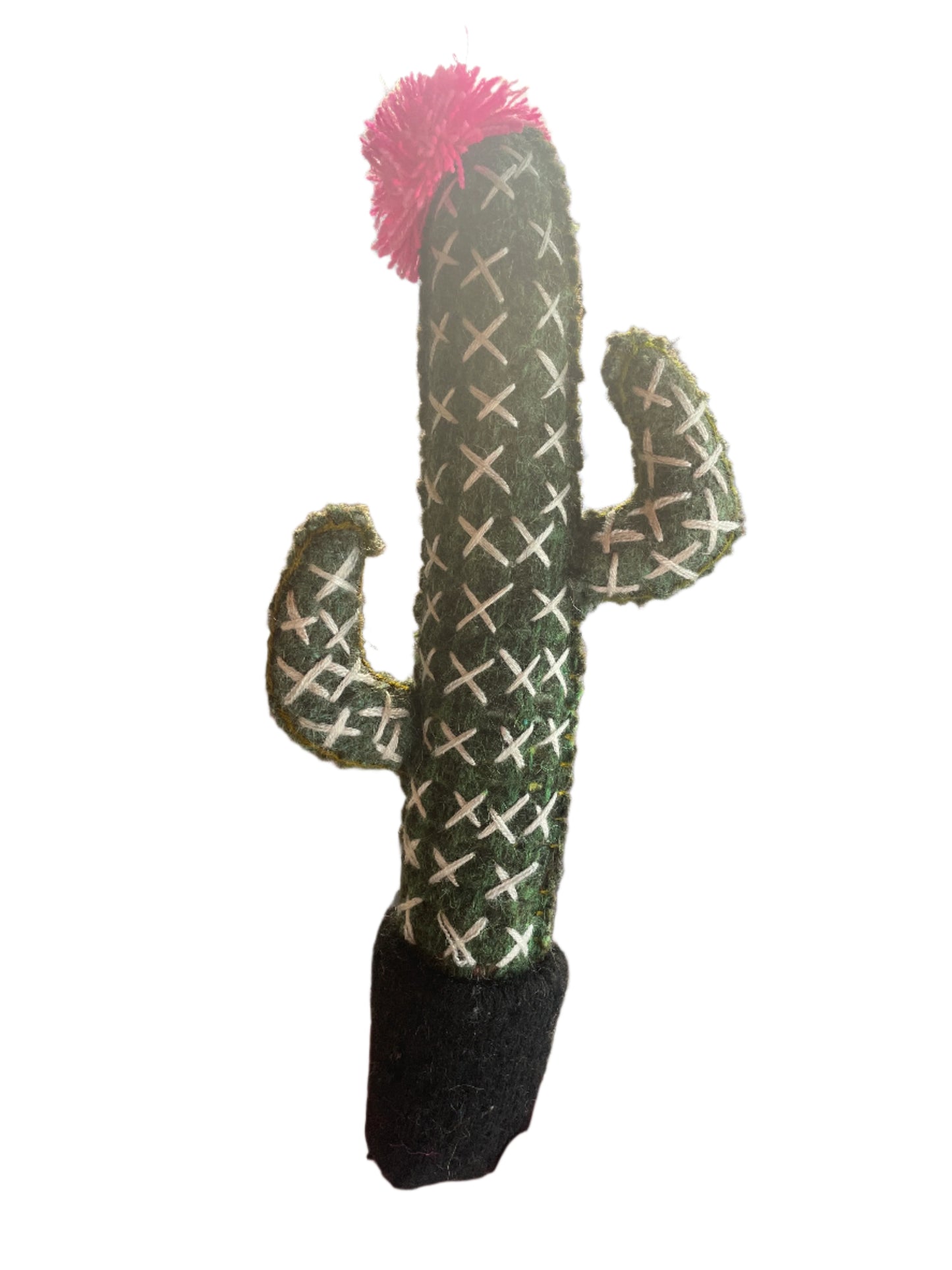 Cactilito